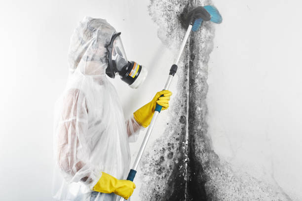 Best Airborne Mold Testing  in Rancho Mission Viejo, CA