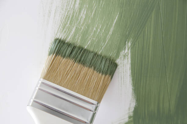 Mold Remediation for Vacation Homes in Rancho Mission Viejo, CA