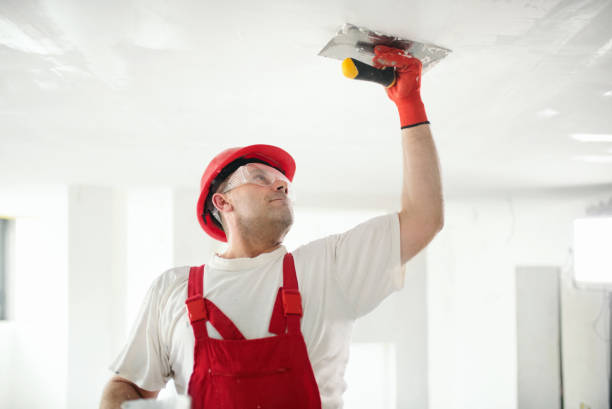 Reliable Rancho Mission Viejo, CA Mold Removal Solutions